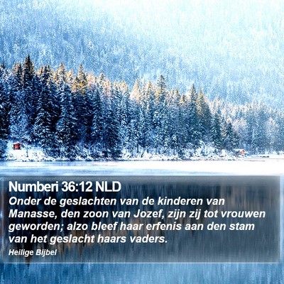 Numberi 36:12 NLD Bible Verse Image