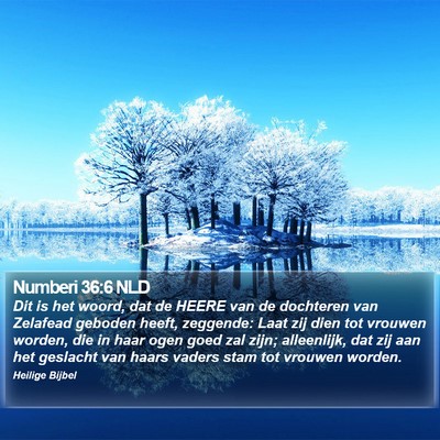 Numberi 36:6 NLD Bible Verse Image
