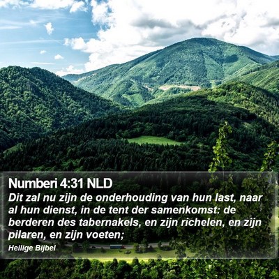 Numberi 4:31 NLD Bible Verse Image