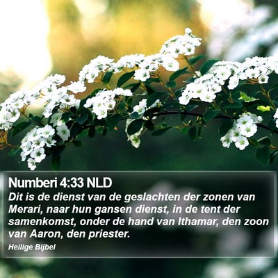 Numberi 4:33 NLD Bible Verse Image