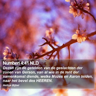 Numberi 4:41 NLD Bible Verse Image