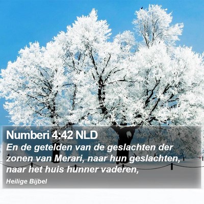 Numberi 4:42 NLD Bible Verse Image