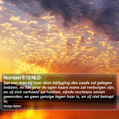 Numberi 5:13 NLD Bible Verse Image