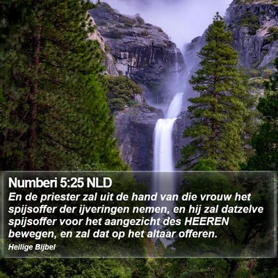 Numberi 5:25 NLD Bible Verse Image