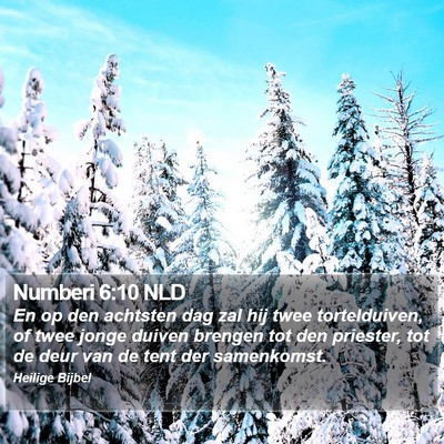 Numberi 6:10 NLD Bible Verse Image