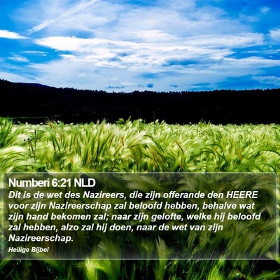 Numberi 6:21 NLD Bible Verse Image