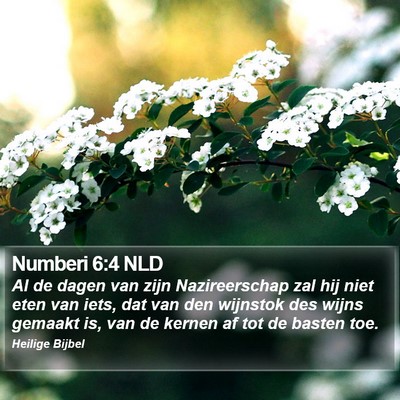 Numberi 6:4 NLD Bible Verse Image
