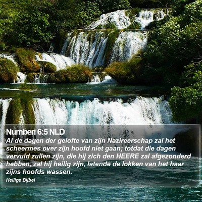 Numberi 6:5 NLD Bible Verse Image