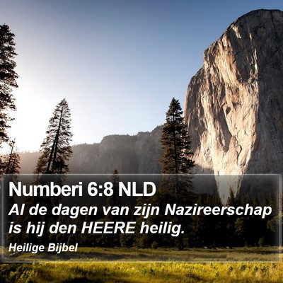 Numberi 6:8 NLD Bible Verse Image