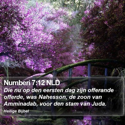 Numberi 7:12 NLD Bible Verse Image