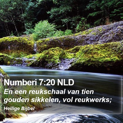 Numberi 7:20 NLD Bible Verse Image
