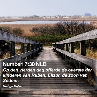Numberi 7:30 NLD Bible Verse Image