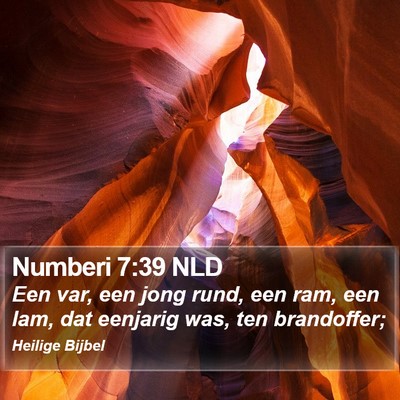 Numberi 7:39 NLD Bible Verse Image