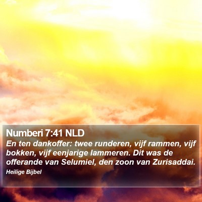 Numberi 7:41 NLD Bible Verse Image