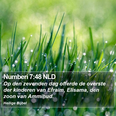 Numberi 7:48 NLD Bible Verse Image