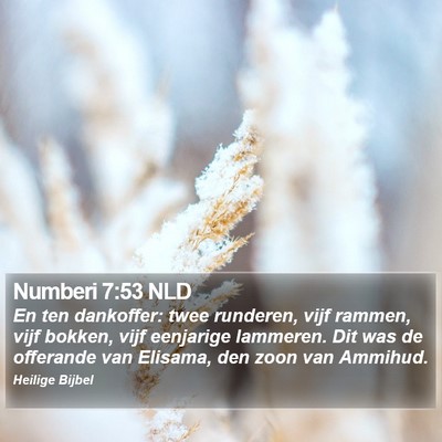 Numberi 7:53 NLD Bible Verse Image