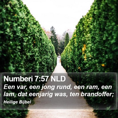 Numberi 7:57 NLD Bible Verse Image
