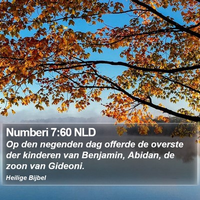 Numberi 7:60 NLD Bible Verse Image