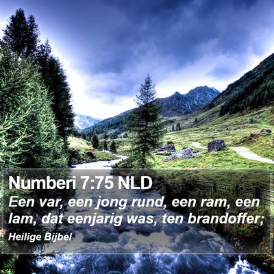 Numberi 7:75 NLD Bible Verse Image