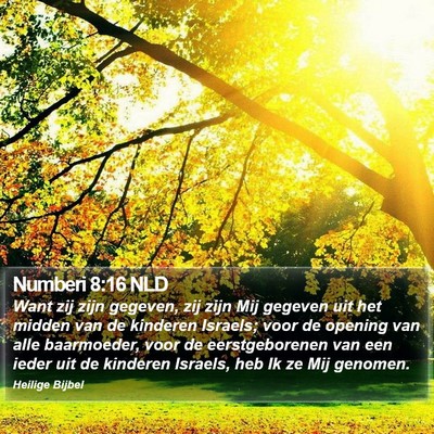 Numberi 8:16 NLD Bible Verse Image