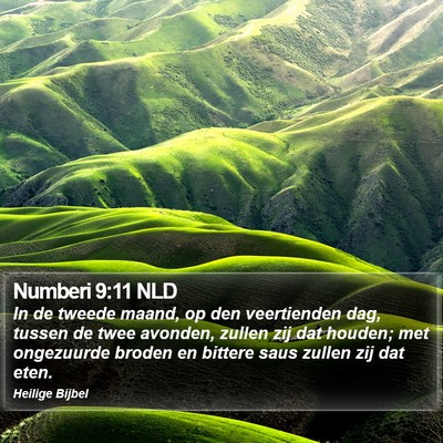 Numberi 9:11 NLD Bible Verse Image