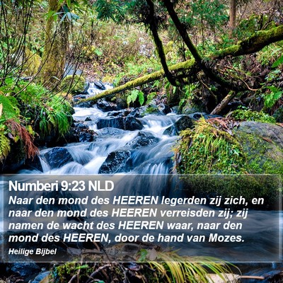 Numberi 9:23 NLD Bible Verse Image