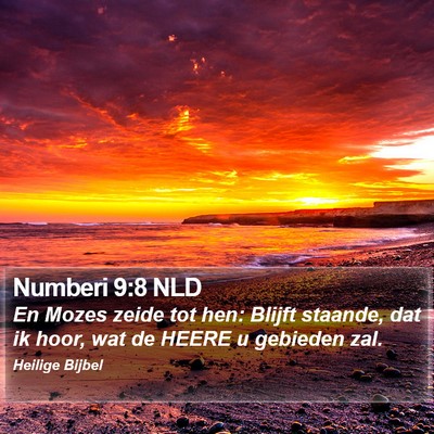 Numberi 9:8 NLD Bible Verse Image