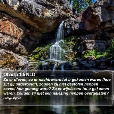 Obadja 1:5 NLD Bible Verse Image