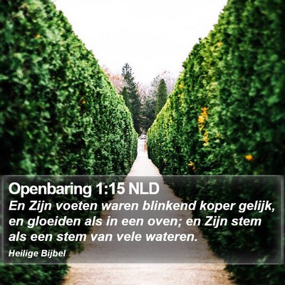 Openbaring 1:15 NLD Bible Verse Image