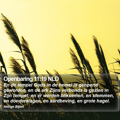 Openbaring 11:19 NLD Bible Verse Image