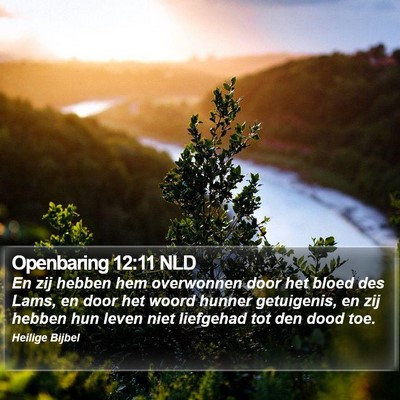 Openbaring 12:11 NLD Bible Verse Image