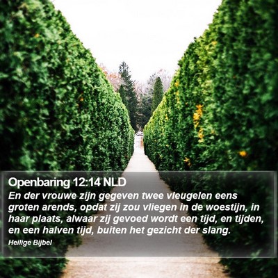 Openbaring 12:14 NLD Bible Verse Image