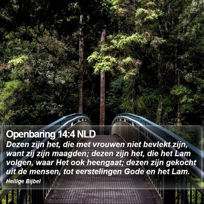 Openbaring 14:4 NLD Bible Verse Image