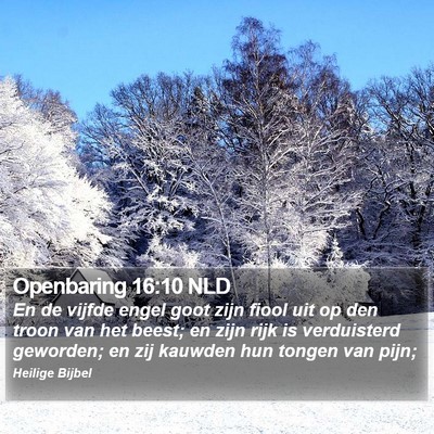 Openbaring 16:10 NLD Bible Verse Image