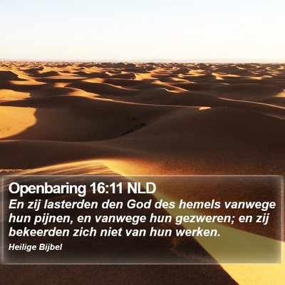 Openbaring 16:11 NLD Bible Verse Image