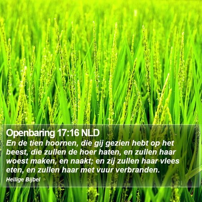 Openbaring 17:16 NLD Bible Verse Image