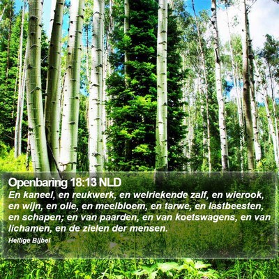 Openbaring 18:13 NLD Bible Verse Image