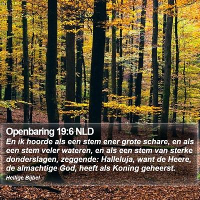 Openbaring 19:6 NLD Bible Verse Image