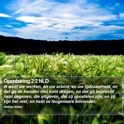 Openbaring 2:2 NLD Bible Verse Image