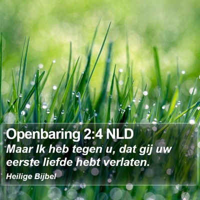 Openbaring 2:4 NLD Bible Verse Image