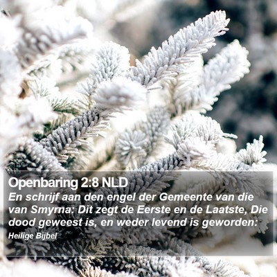 Openbaring 2:8 NLD Bible Verse Image