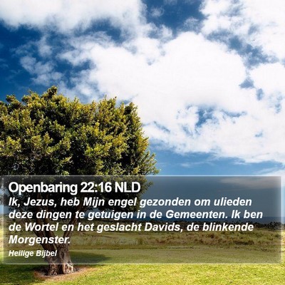 Openbaring 22:16 NLD Bible Verse Image