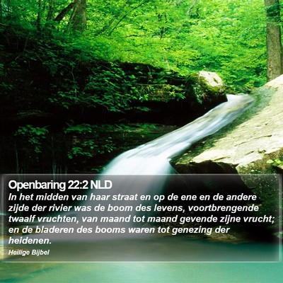 Openbaring 22:2 NLD Bible Verse Image