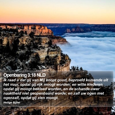 Openbaring 3:18 NLD Bible Verse Image