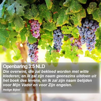Openbaring 3:5 NLD Bible Verse Image