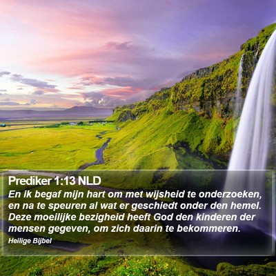 Prediker 1:13 NLD Bible Verse Image
