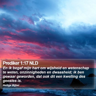 Prediker 1:17 NLD Bible Verse Image