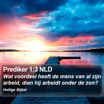Prediker 1:3 NLD Bible Verse Image