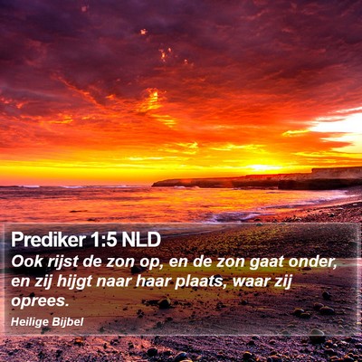 Prediker 1:5 NLD Bible Verse Image