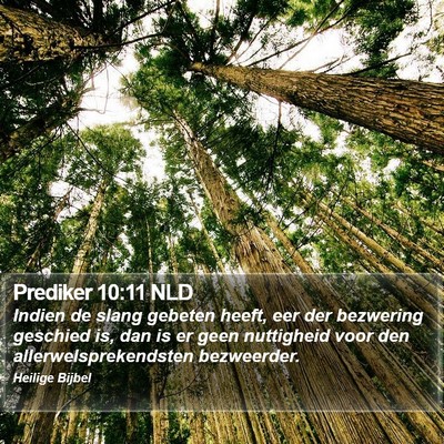 Prediker 10:11 NLD Bible Verse Image